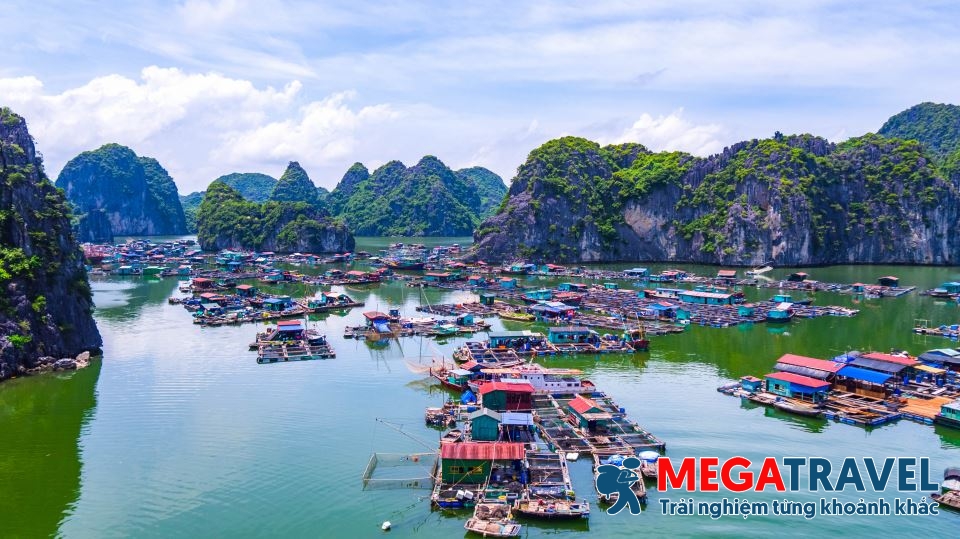 vinh lan hạ 2