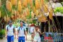 Tour Đảo Khỉ Nha Trang | Đùa vui cũng những chú khỉ tinh nghịch